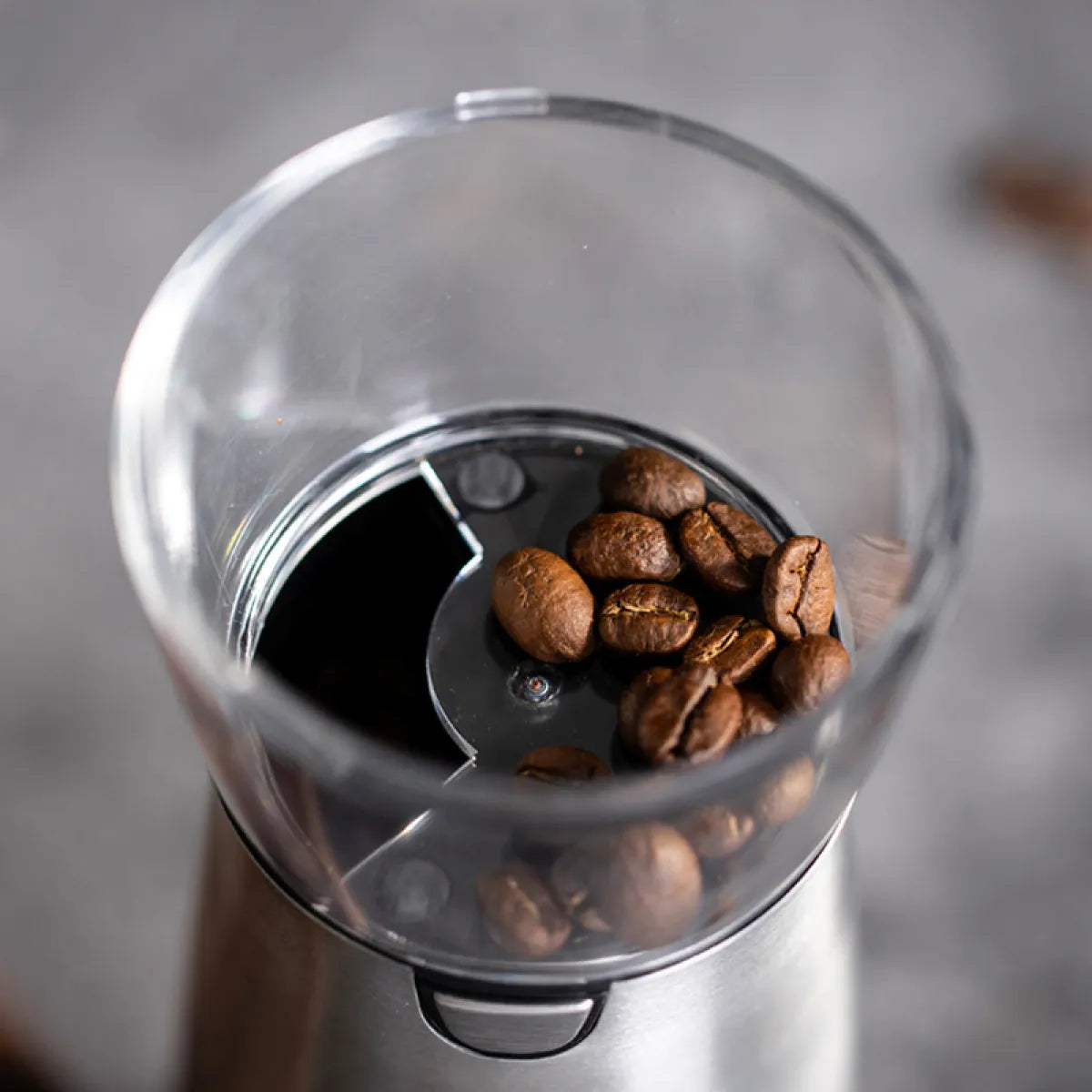 Electric Stainless Steel Coffee Grinder